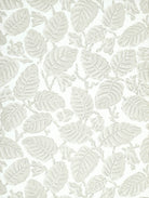 Beech Nut - Warm Grey by Little Greene - luxury wallpaper