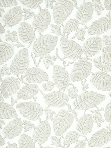 Beech Nut - Warm Grey - Sample
