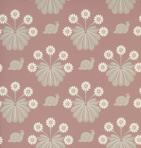 Burges Snail - Rosie - Sample