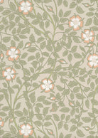 Briar Rose - Green Mist by Little Greene - luxury wallpaper