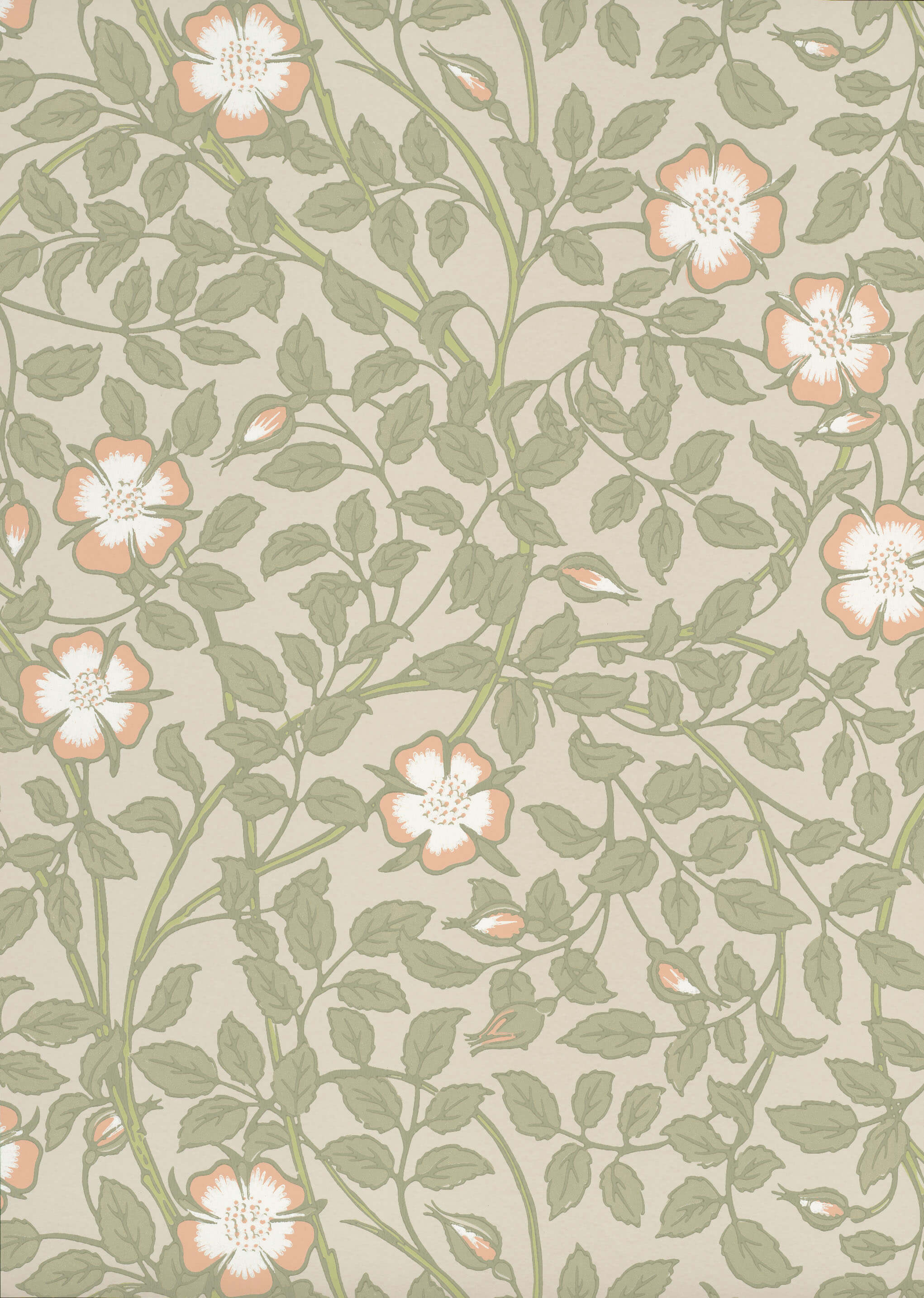 Briar Rose - Green Mist by Little Greene - luxury wallpaper