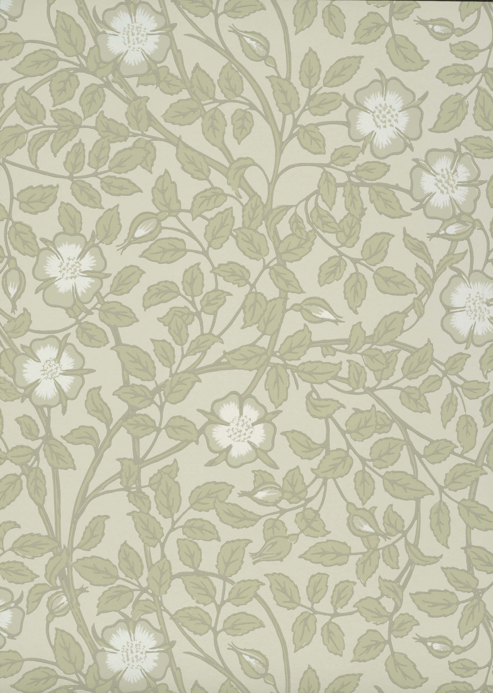 Briar Rose - Green Stone by Little Greene - luxury wallpaper