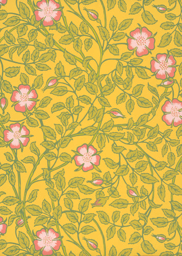 Briar Rose - Indian Yellow - Sample