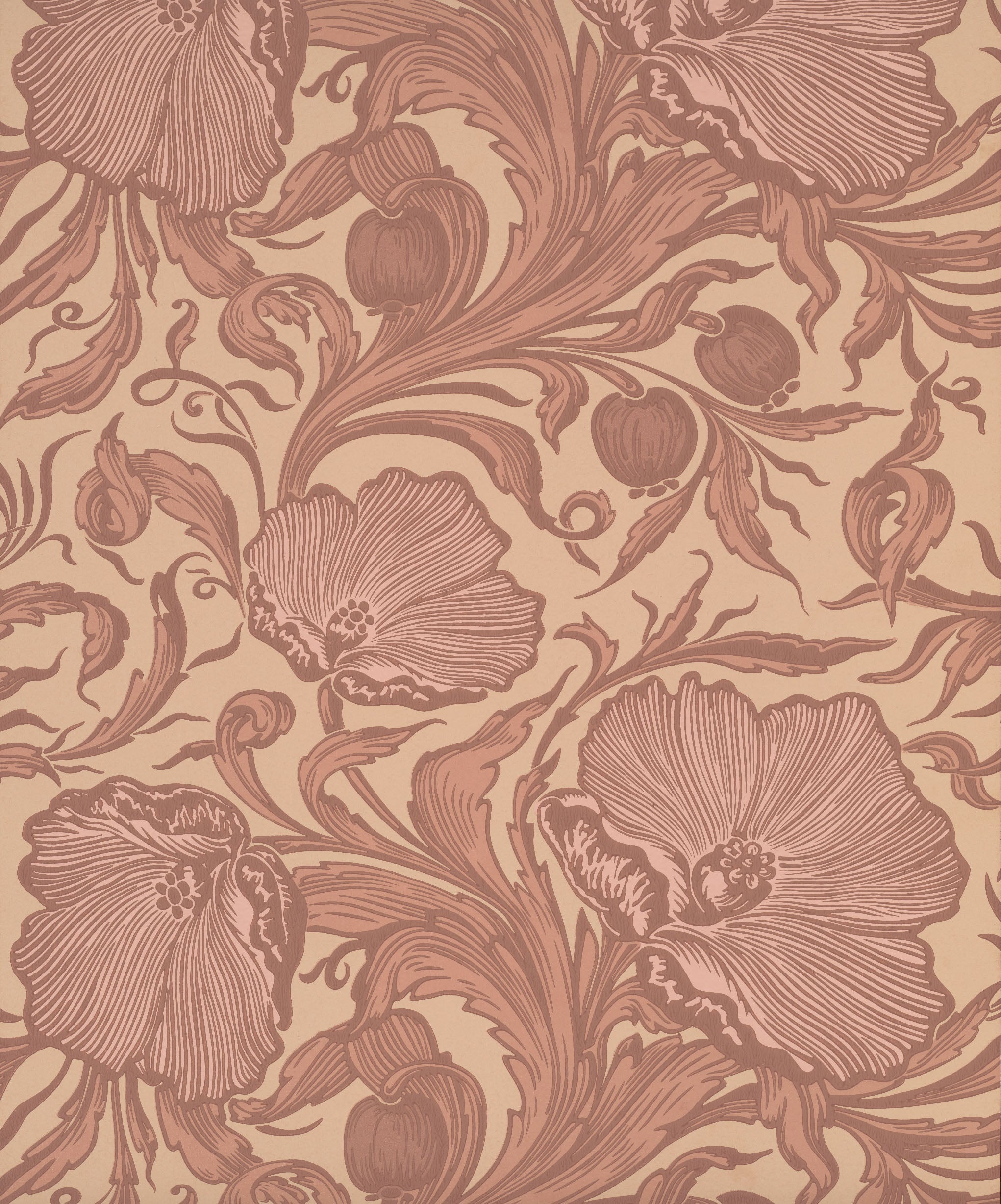 Poppy Trail - Masquerade by Little Greene - luxury wallpaper