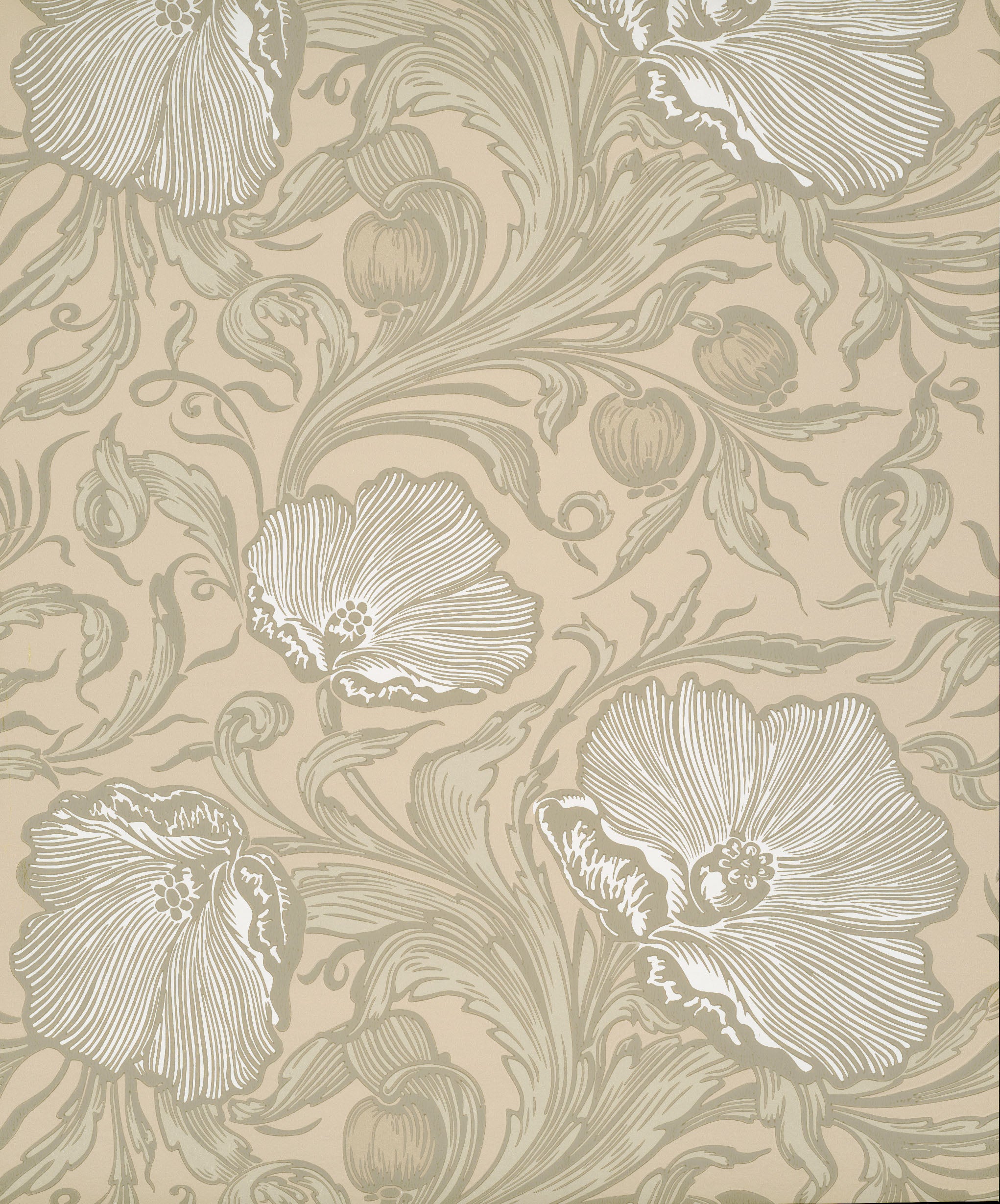 Poppy Trail - Portland Stone by Little Greene - luxury wallpaper