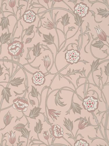 May's Tulip - Castell Pink - Sample