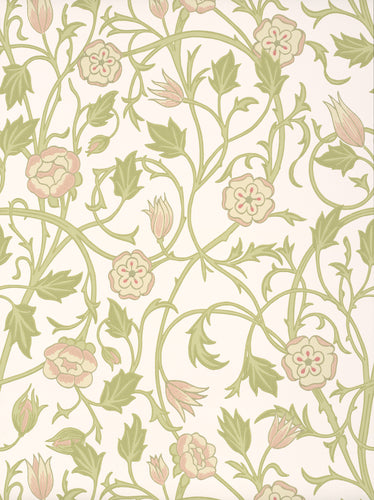 May's Tulip - Clay - Sample