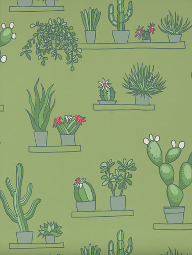 Mr Straw's Greenhouse - Garden - Sample
