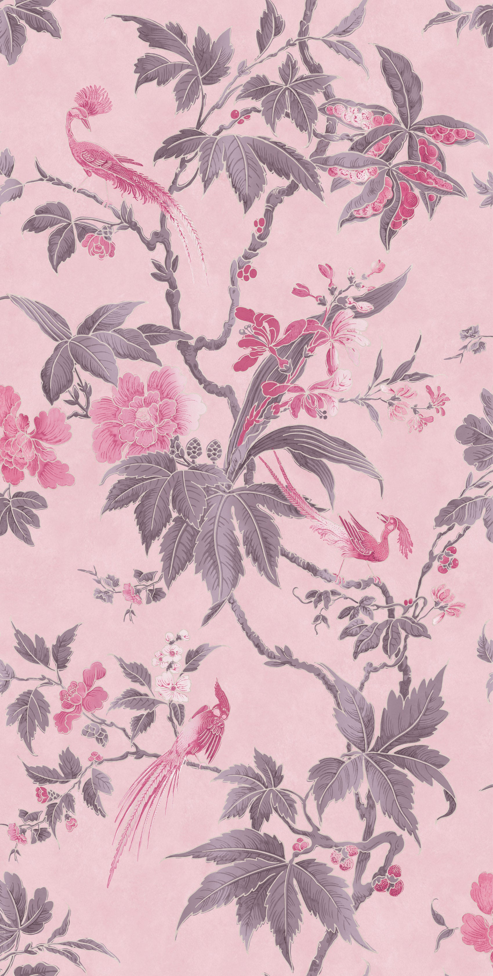 Paradise - Pink by Little Greene - luxury wallpaper