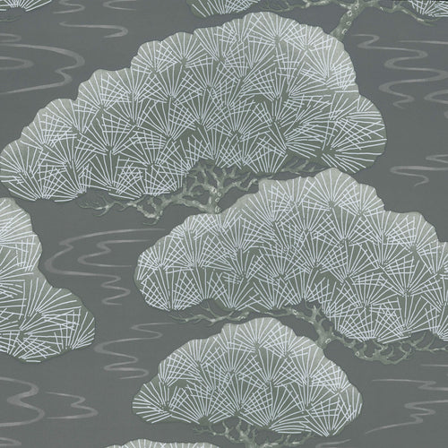 Pines - Silver Pine - Sample