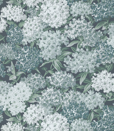 Rhododendron Walk - Hicks' Blue - Sample