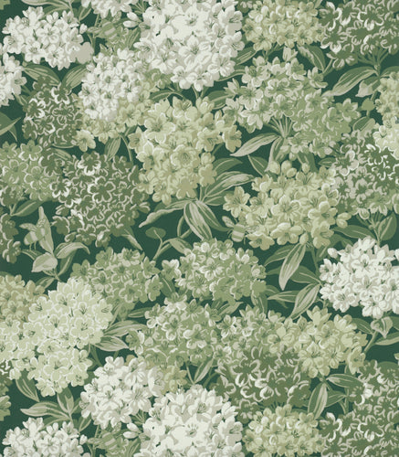 Rhododendron Walk - Puck - Sample