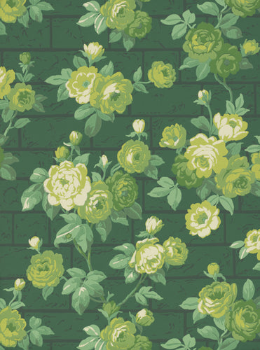 Rose Garden - Puck - Sample