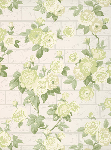 Rose Garden - Slaked Lime - Sample