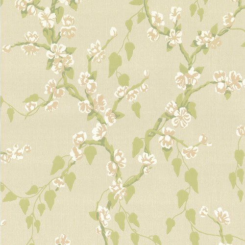 Sakura - Pomme - Sample