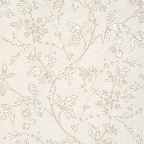 Wrest Trail - Lime Plaster - Sample