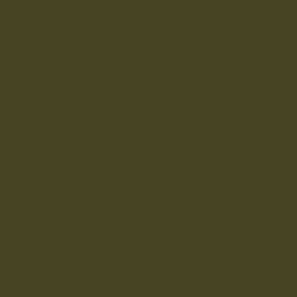 Olive Colour (72) by Little Greene - luxury paint