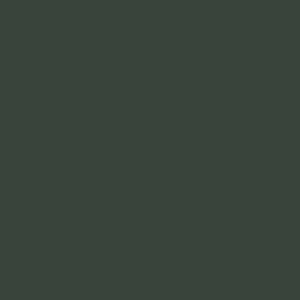 Stable Green (554) by Paint & Paper Library - Premium British Paint