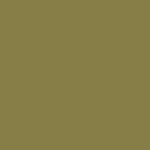 Midelt Sage (711) by Paint & Paper Library - luxury paint