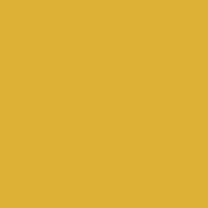 Gamboge (484) by Paint & Paper Library - luxury paint