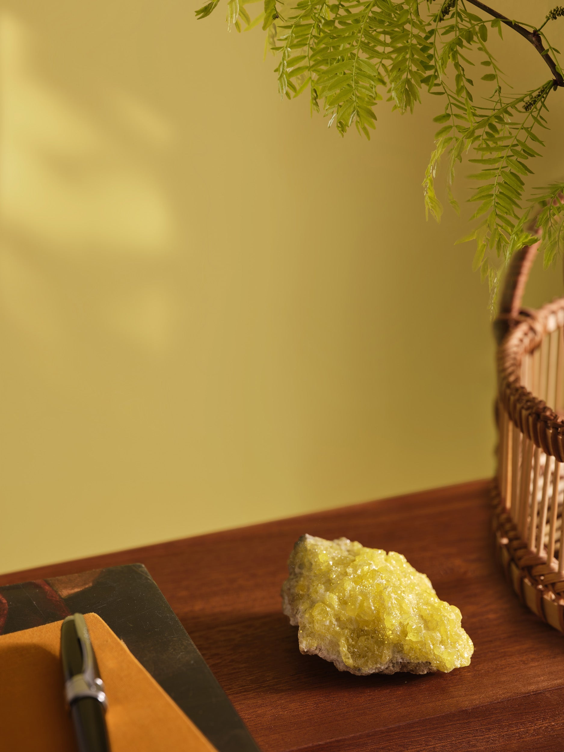 Peruvian Yellow (710) by Paint & Paper Library - luxury paint