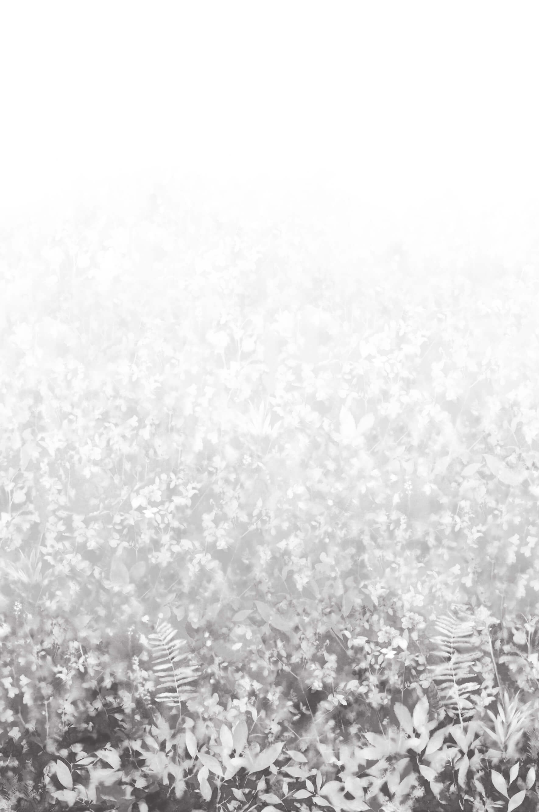 Folia - Perse Grey by Paint & Paper Library - luxury wallpaper