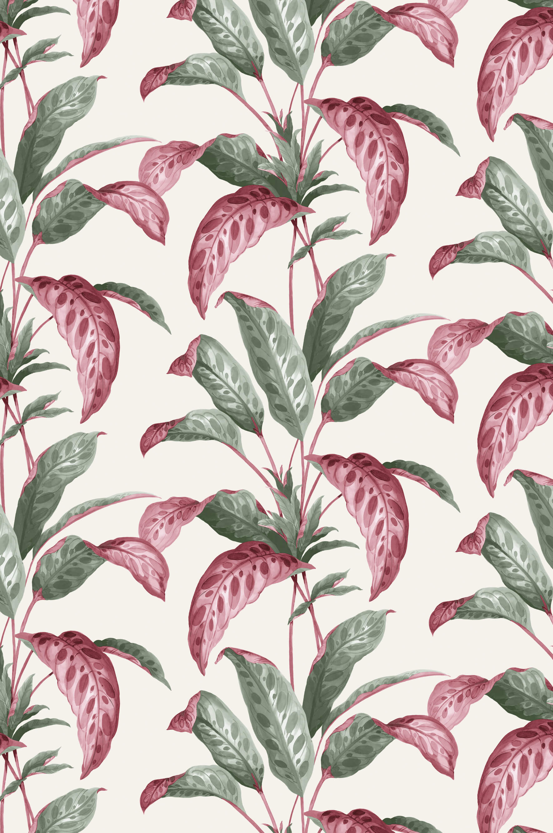 Tropicane - Rhubarb by Paint & Paper Library - luxury wallpaper