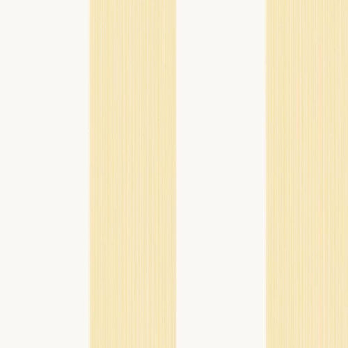 Broad Stripe 1319 Sample