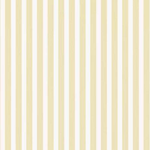 Closet Stripe 356 Sample