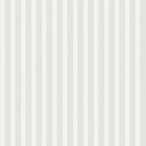 Closet Stripe 361 Sample