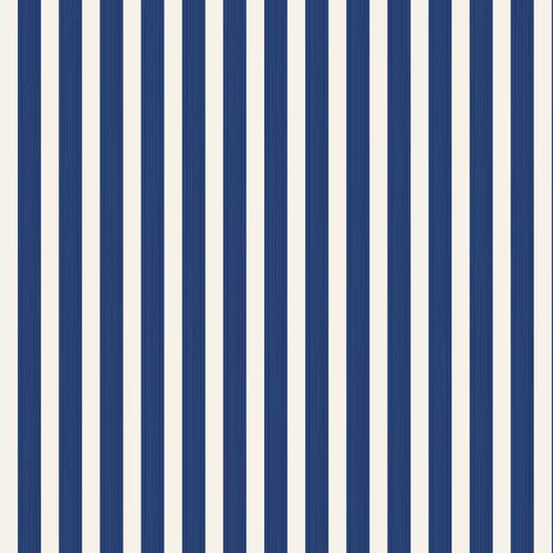 Closet Stripe 364 Sample