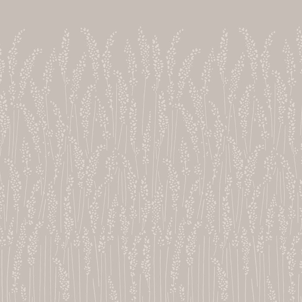 Feather Grass 5101 Sample by Farrow & Ball - luxury paint & wallpaper