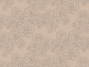 Aeonium - Temple by Paint & Paper Library - luxury wallpaper