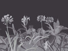 Aloe Walk - Perse Grey by Paint & Paper Library - luxury wallpaper